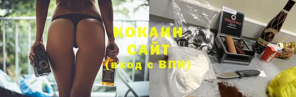 дживик Алексин