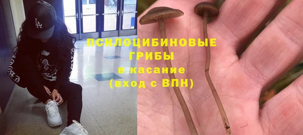 дживик Алексин