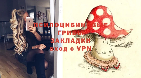 дживик Алексин