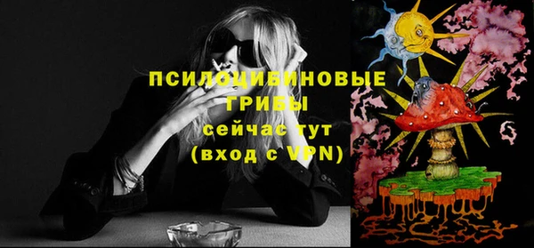 дмт Алзамай