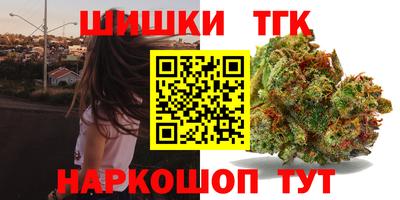 МДПВ Бердск