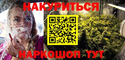 МДПВ Бердск
