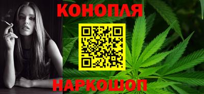 МДПВ Бердск