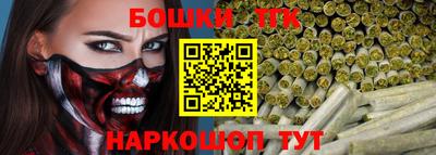 МДПВ Бердск