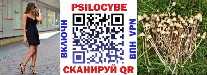 Псилоцибиновые грибы GOLDEN TEACHER  Красноуфимск 