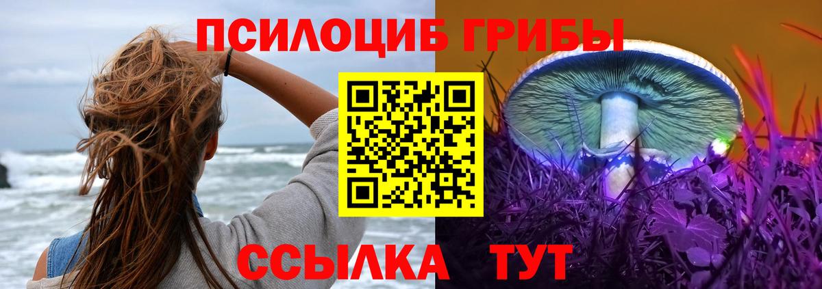 Галлюциногенные грибы GOLDEN TEACHER Красноуфимск